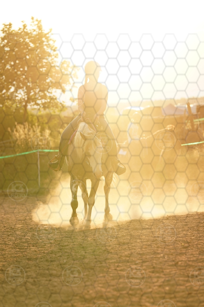 s_A9_03150.jpg